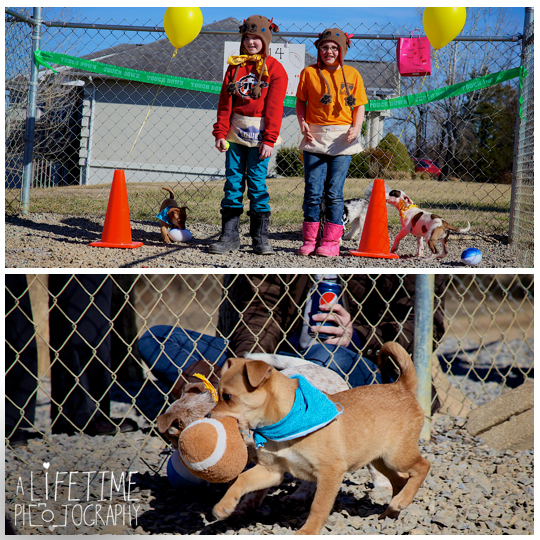 Pets-without-parents-puppy-super-bowl-puppybowl-party-Sevierville-TN-dogs-adoption-animal-shelter-3