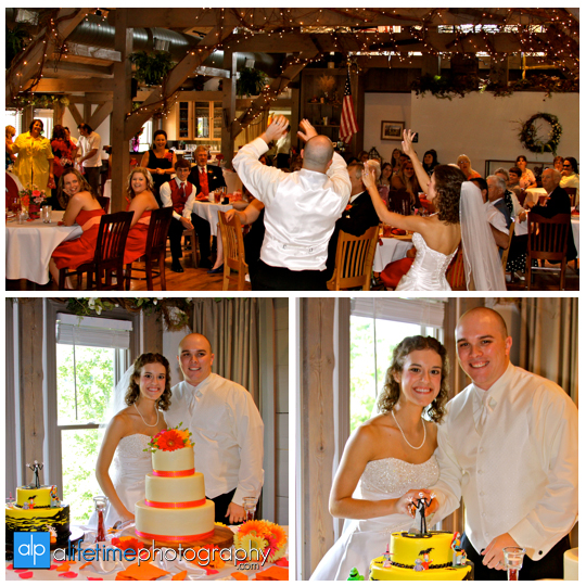 Barn-Event-Center-Of-The-Smokies_Townsend-TN_Wedding-Photographer-Gatlinburg-Pigeon-Forge-Sevierville_Bridesmaids-County-Mountain-View-Cake-cutting