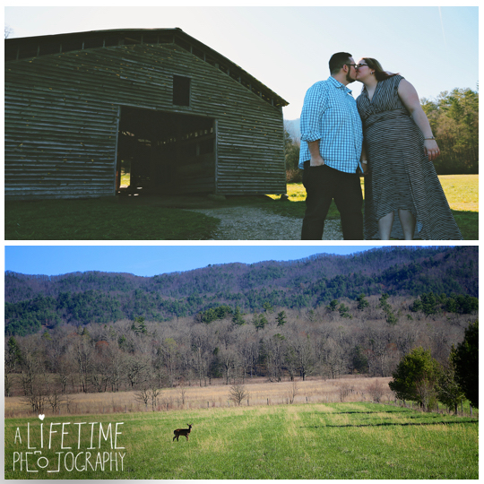 Cades-Cove-Marriage-Proposal-Gatlinburg-TN-Secret-Photographer-Pigeon-Forge-Smoky-Mountains-wedding-photo-shoot-session-11