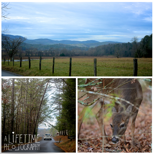 Cades-Cove-Marriage-Wedding-Proposal-Photographer-couple-Townsend-Pigeon-Forge-Gatlinburg-Smoky-Mountains-engagement-1