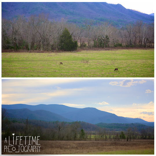 Cades-Cove-engagement-proposal-wedding-marriage-Townsend-Photographer-Gatlinburg-Pigeon-Forge-Knoxville-TN-Smoky-Mountain-1