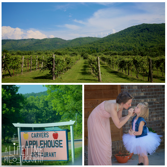 Carter's-Apple-Restaurant-Vinyard-Orchard-Applehouse-Wedding-Photographer-Cosby-Gatlinburg-Pigeon-Forge-Smoky-Mountains-photography-independant-Baptist-Church-ceremony-1