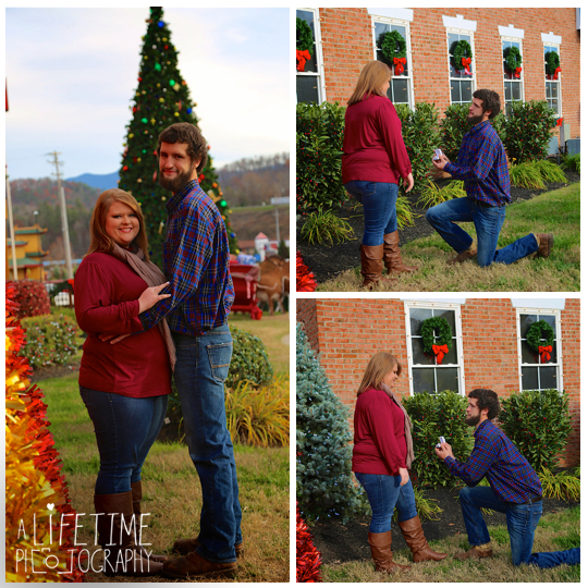 Dixie-Stampede-Engagement-Family-Photographer-Maternity-Patriot-Park-Pigeon-Forge-Gatlinburg-Sevierville-Photos-Christmas-6