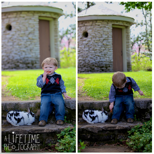 Easter-Bunny-Pictures-Knoxville-TN-Photographer-Botanical-Gardens-and-Arboretum-Maryville-Seymour-Kodak-Clinton-Powell-Johnson-City-Kingsport-Bristol-Townsend-Pigeon-Forge-Gatlinburg-Sevierville-Newport-TN-baby-kids-family-Photography-5