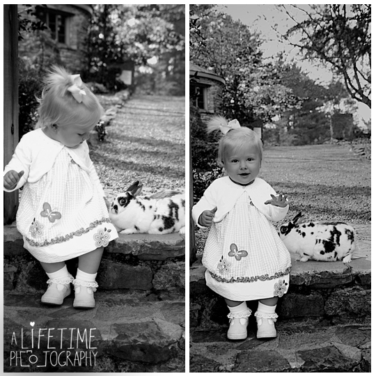 Easter-Bunny-Pictures-kids-Knoxville-TN-Photographer-Botanical-Gardens-Spring-Photography-rabbit-Maryville-Seymour-Sevierville-Pigeon-Forge-Gatlinburg-TN-Townsend-Clinton-Powell-1