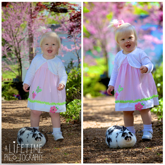 Easter-Bunny-Pictures-kids-Knoxville-TN-Photographer-Botanical-Gardens-Spring-Photography-rabbit-Maryville-Seymour-Sevierville-Pigeon-Forge-Gatlinburg-TN-Townsend-Clinton-Powell-6