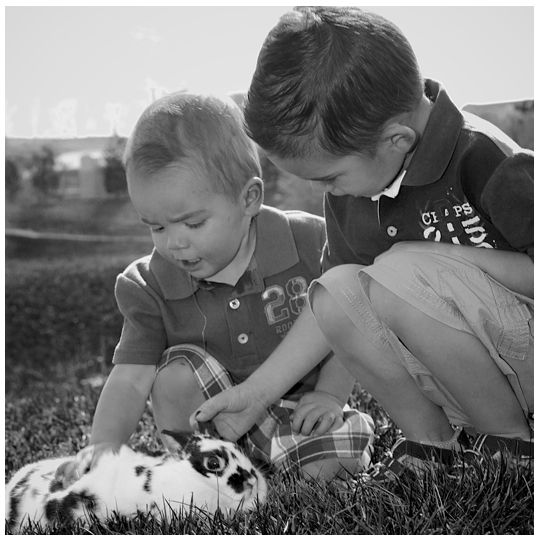 Easter-Spring-kids-Children-Mini-Session-Photographer-Rabbit-Bunny-Brothers-Family-Kingsport-Bristol-Johnson-City-Gray_TN_Photography-2