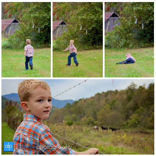 Family-pictures-in Gatlinburg-Emerts-Cove-Pittman-Center-Greenbrier-Smoky-Mountains-Pigeon-Forge-Photographer-kids-families-6