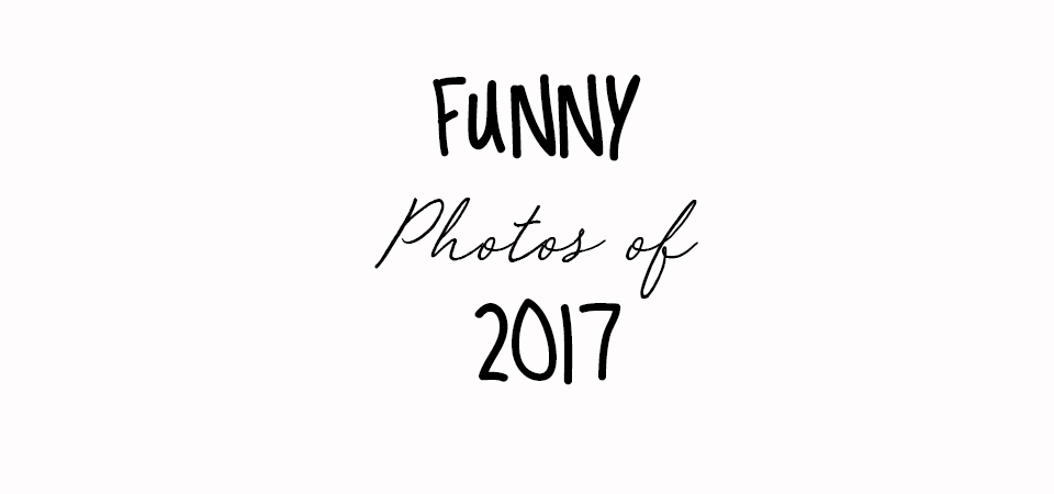 A Look Back At The Funnest Photos of 2017