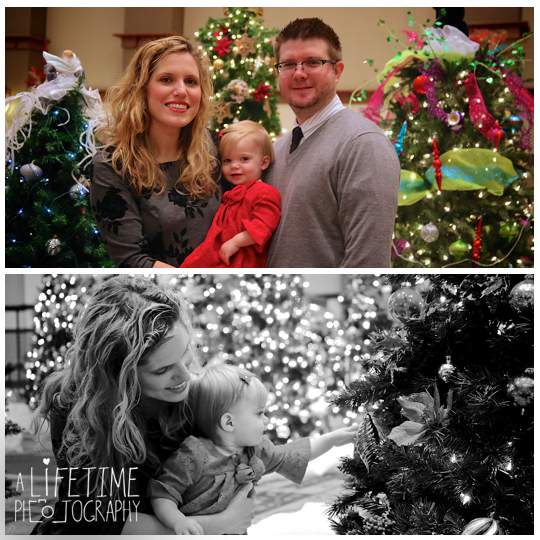 Gatlinburg-Festive-of-trees-Family-Christmas-Photos-Pictures-Pigeon-Forge-Knoxville-Sevierville-Seymour-Kodak-Smoky-Mountains-Pittman-Center-Wears-Valley-Townsend-3