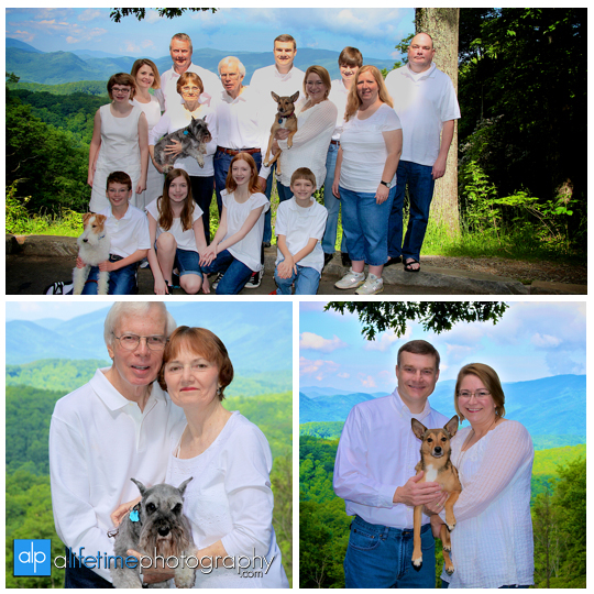 Gatlinburg-TN-Family-Photographer-Smoky-Mountain-Photography-Sevierville-Pigeon-Forge-Townsend-Cabin-Mountain-view-Reunion-Roaring-Fork-Motor-Nature-Trail-large-families-Pictures-Session-1