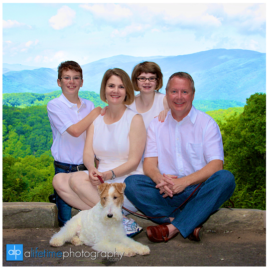 Gatlinburg-TN-Family-Photographer-Smoky-Mountain-Photography-Sevierville-Pigeon-Forge-Townsend-Cabin-Mountain-view-Reunion-Roaring-Fork-Motor-Nature-Trail-large-families-Pictures-Session-4