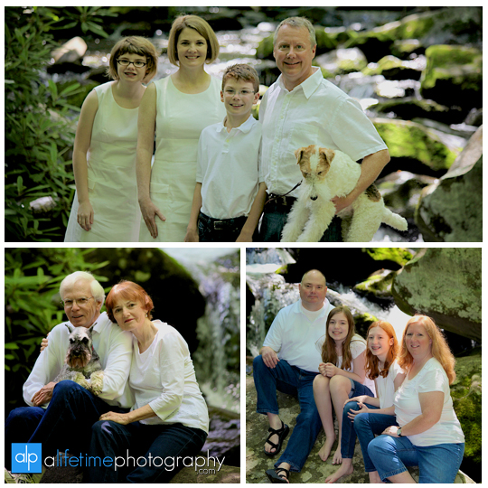 Gatlinburg-TN-Family-Photographer-Smoky-Mountain-Photography-Sevierville-Pigeon-Forge-Townsend-Cabin-Mountain-view-Reunion-Roaring-Fork-Motor-Nature-Trail-large-families-Pictures-Session-8