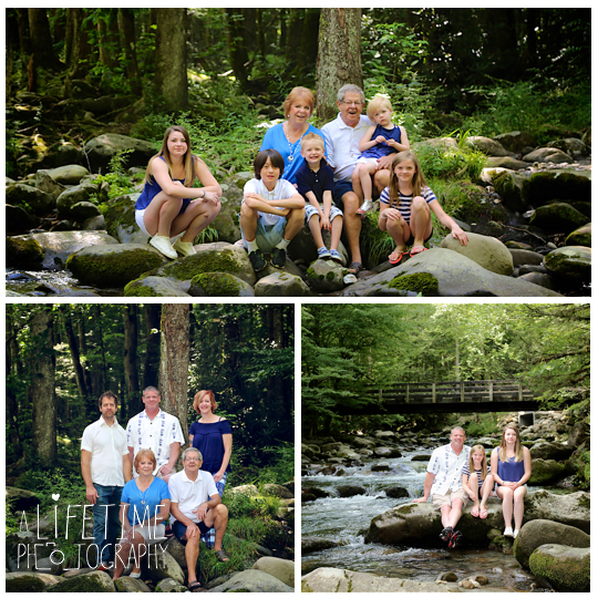 Greenbriar-Family-Photographer-Smoky-Mountains-Gatlinburg-Pigeon-Forge-Tn-Tennessee-Reunion-2