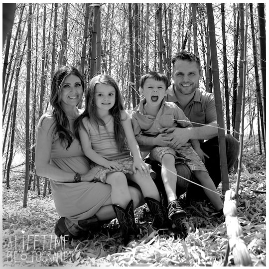 Knoxville-TN-Family-Photographer-Botanical-Gardens-Maryville-Seymour-Townsend-Clinton-Powell-TN-Sevierville-Gatlinburg-Pigeon-Forge-Photography-kids-photos-pictures-session-16
