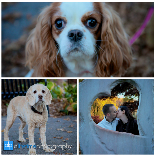 Knoxville-TN-Family-pet-Photographer-UT-Gardens-dogs-family-session-photo-shoot-pictures-22