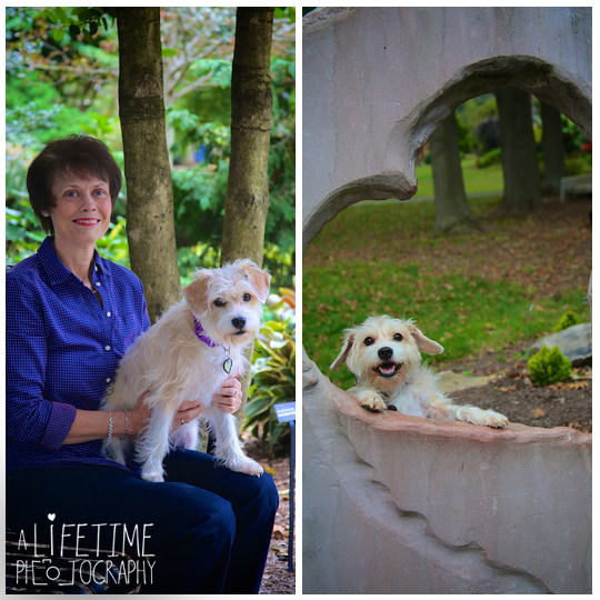 Knoxville-TN-UT-Gardens-dog-pets-photographer-family-photos-session-photo-shoot-1