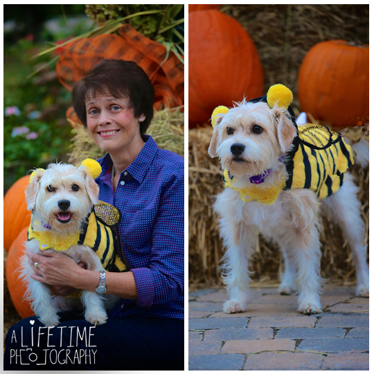 Knoxville-TN-UT-Gardens-dog-pets-photographer-family-photos-session-photo-shoot-11