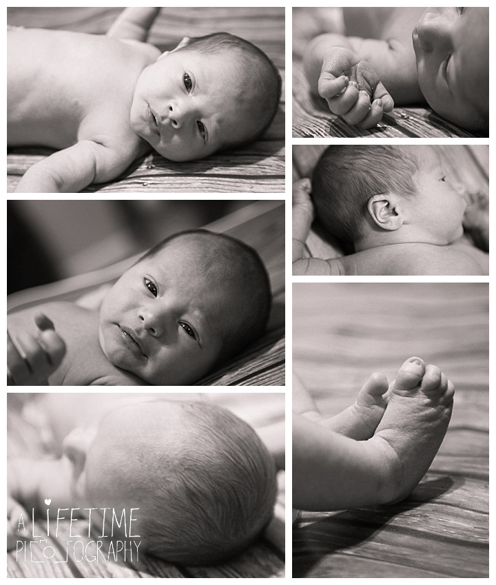 Newborn Baby Photographer Gatlinburg-Pigeon-Forge-Knoxville-Sevierville-Dandridge-Seymour-Smoky-Mountains-Townsend-Photos-Session-Professional-Maryville_0404
