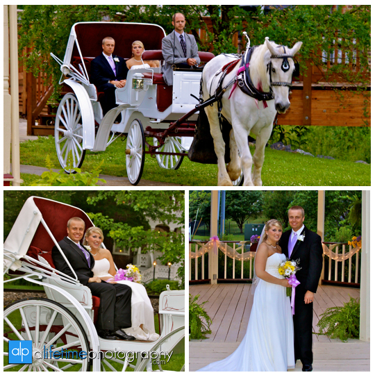 Newlywed-Wedding-loft-Couple-horse-carriage-Downtown-Jonesborough-loft-gazebo-Photographer-Johnson-City_Kingsport-Bristol_Tri-Cities