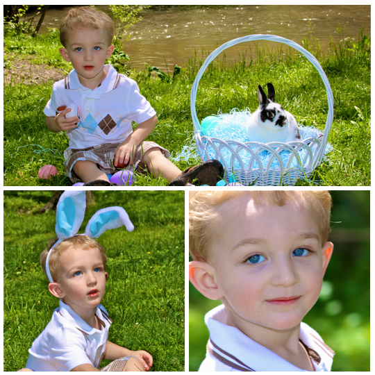 Pigeon_Forge_TN_Easter_Bunny_Pictures_3
