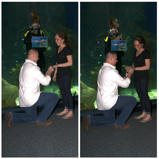 Ripleys-Aquarium-smokies-Gatlinburg-Engagement-marriage-Proposal-wedding-engaged-Couple-ideas-Pigeon-Forge-Photographer-Sevierville-Mountain-downtown-Photos-pictures-5