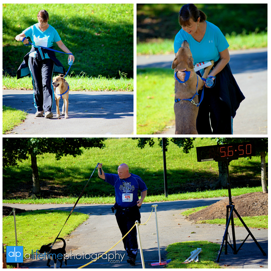 Strut-your-ur-mutt-dog-5k-race-walk-Gatlinburg-TN-Sevierville-Pigeon-Forge-Mills-Park-Photographer-benefit-volunteer-shelter-pets-without-parents-10