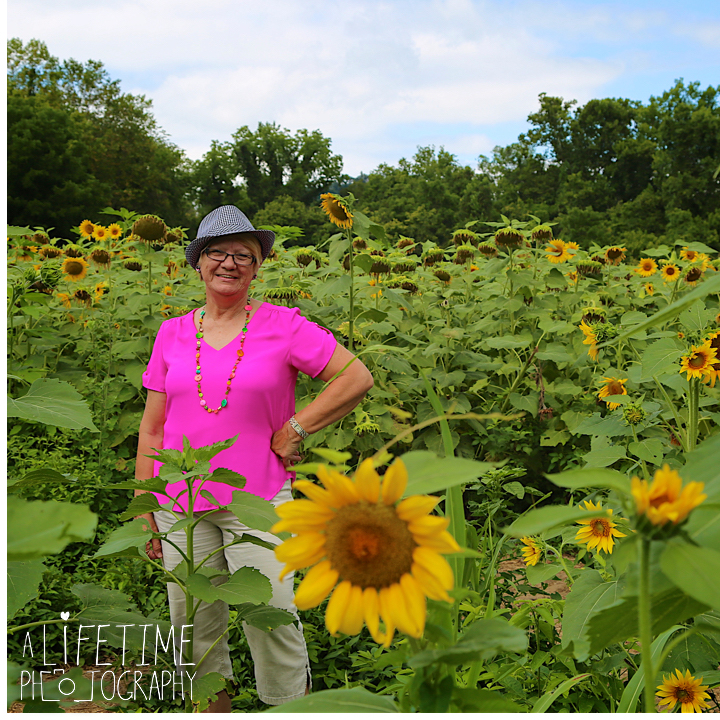 Sunflower-field-knoxville-TN-mother-daughter-family-photographer-3