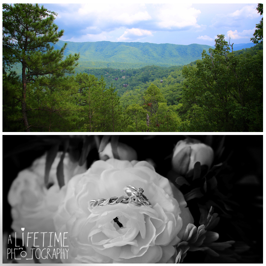 Wears-Valley-Townsend-wedding-Photographer-cabin-Smoky-Mountains-Pigeon-Forge-Knoxville-Gatlinburg-1