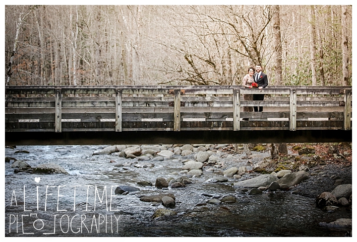 Wedding Newlywed Photographer Gatlinburg-Pigeon-Forge-Knoxville-Sevierville-Dandridge-Seymour-Smoky-Mountains-Townsend-Photos-Greenbriar Session-Professional-Maryville_0217