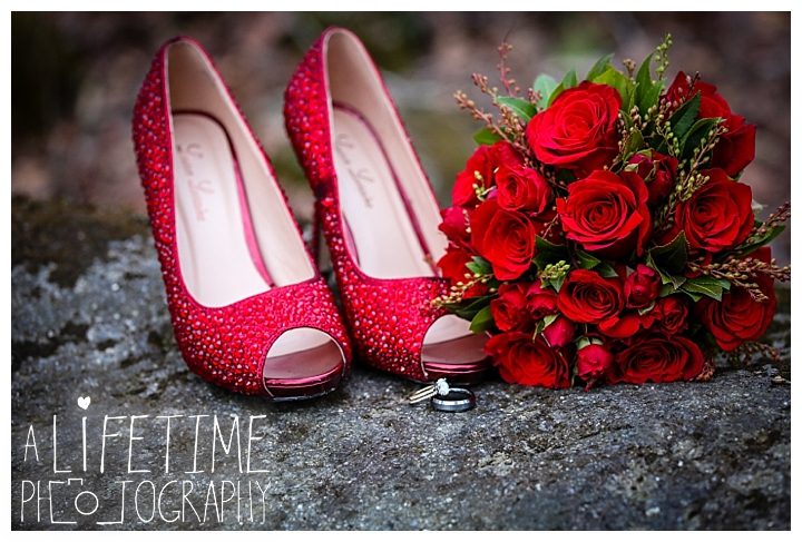 Wedding Newlywed Photographer Gatlinburg-Pigeon-Forge-Knoxville-Sevierville-Dandridge-Seymour-Smoky-Mountains-Townsend-Photos-Greenbriar Session-Professional-Maryville_0222