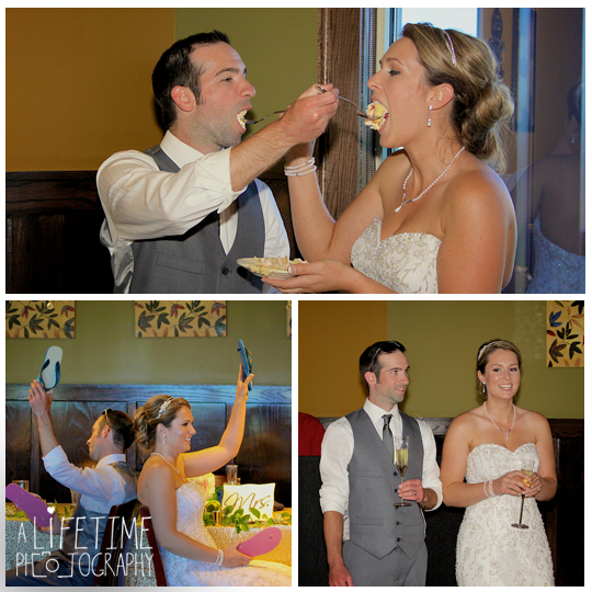 Wedding-Photographer-Douglas-Dam-Overlook-Dandridge-TN-Sevierville-Pigeon-Forge-Gatlinburg-Greeneville-Knoxville-Ceremony-Calhouns-Kodak-reception-23