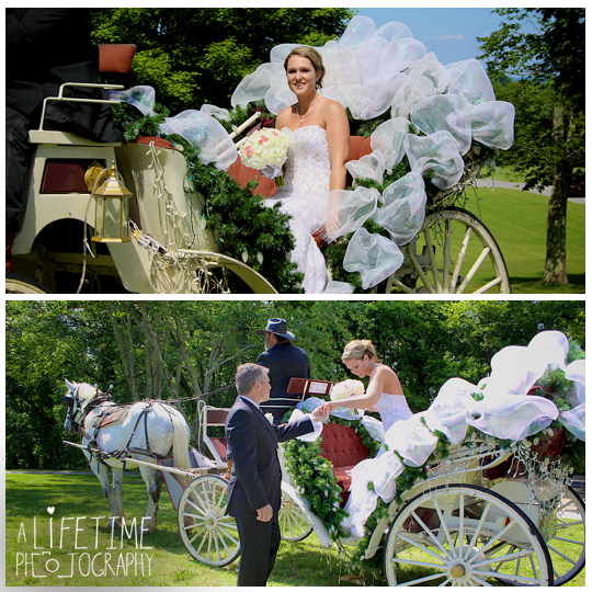 Wedding-Photographer-Douglas-Dam-Overlook-Dandridge-TN-Sevierville-Pigeon-Forge-Gatlinburg-Greeneville-Knoxville-Ceremony-Calhouns-Kodak-reception-5