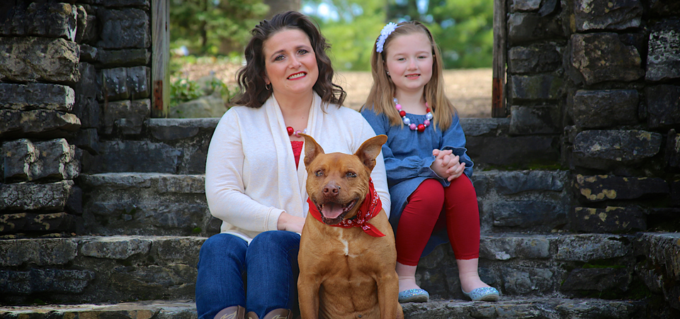 Esau the pit bull | Knoxville Botanical Gardens | Family, photographer