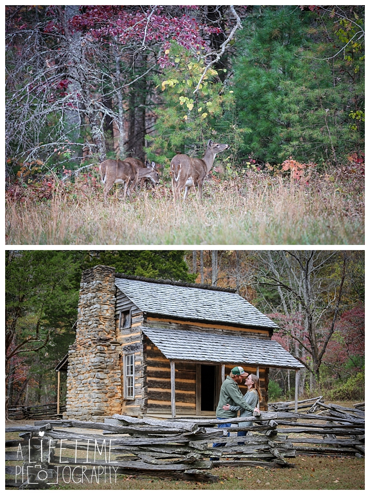 engagement-cades-cove-photographer-family-gatlinburg-pigeon-forge-knoxville-sevierville-dandridge-seymour-smoky-mountains-couple-townsend_0070