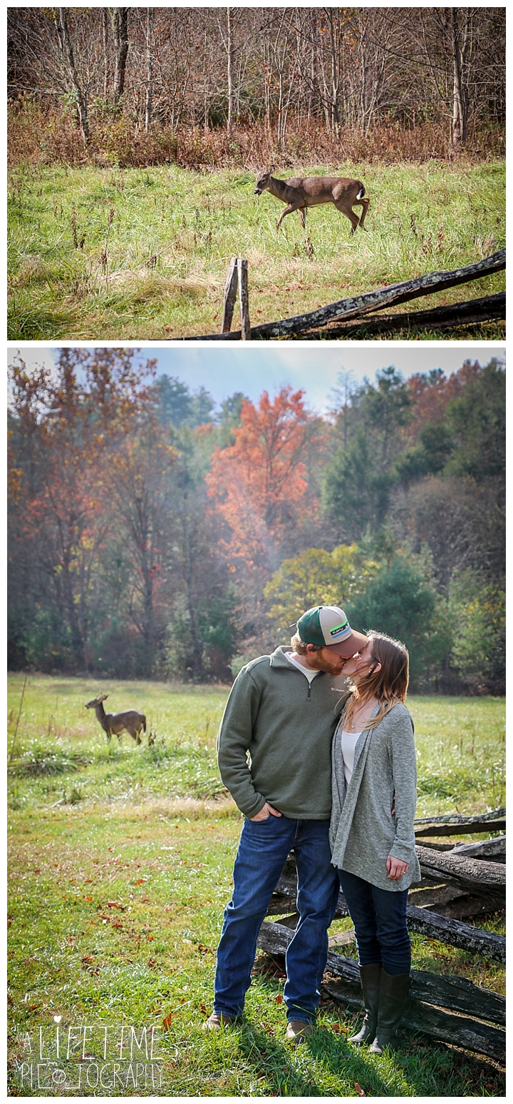 engagement-cades-cove-photographer-family-gatlinburg-pigeon-forge-knoxville-sevierville-dandridge-seymour-smoky-mountains-couple-townsend_0084