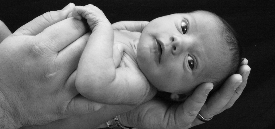 Avery | Newborn Baby Photographer | Johnson City, TN
