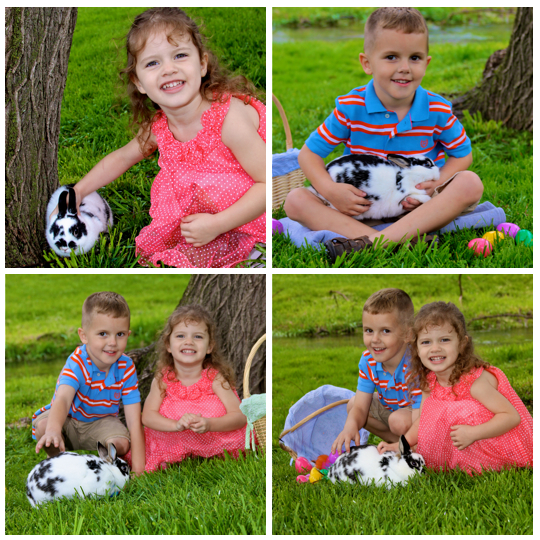real_Easter_bunny_Pictures_in_tri_Cities_TN