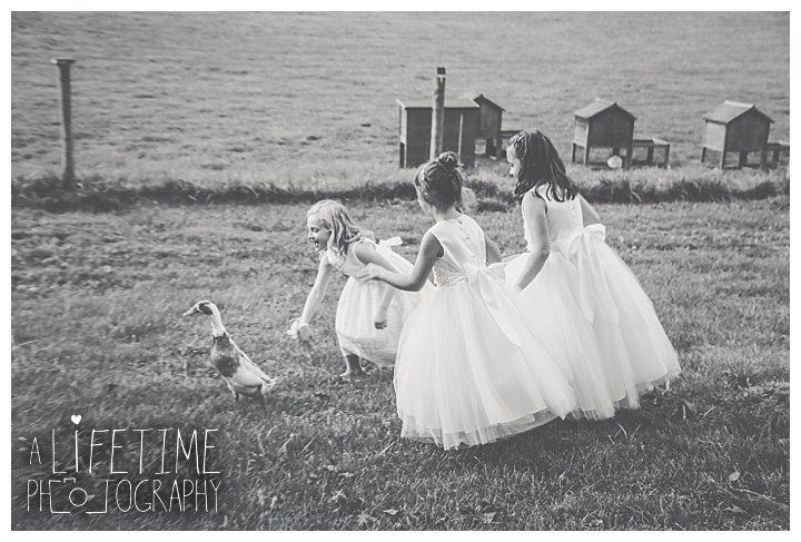 wedding-photographer-bristol-tn-johnson-city-kingsport-fern-valley-farm-blountville-knoxville-photos-bride-groom_0037