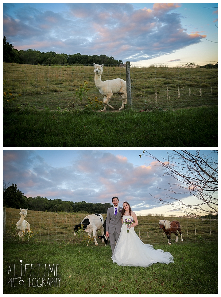wedding-photographer-bristol-tn-johnson-city-kingsport-fern-valley-farm-blountville-knoxville-photos-bride-groom_0049
